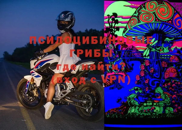 дурь Бородино