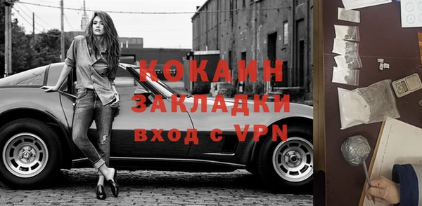 дурь Бородино