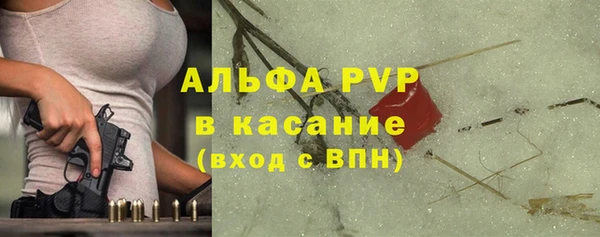 твердый Инсар