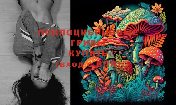 твердый Бугульма